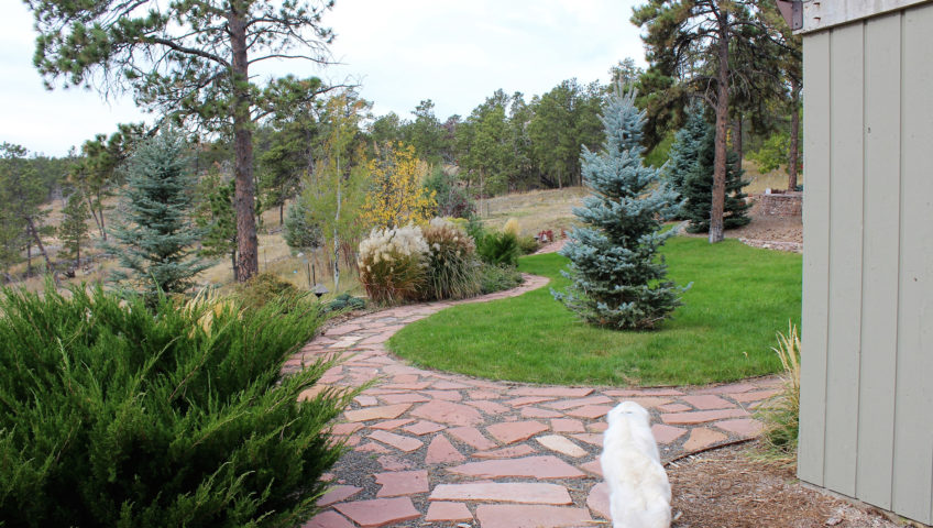 Stone Pathway and Landscaping Image