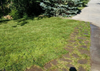 Sod and Pathway Installation