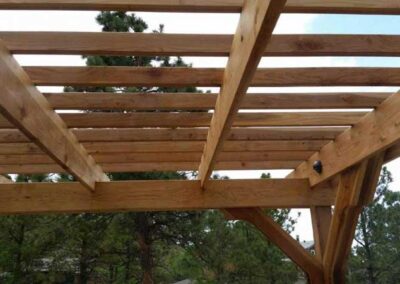 Paver Patio and Pergola with Shade Tree Sun Shades